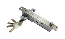 NI-600T 坚固型电插锁(带钥匙)